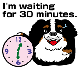 Bernese Mountain Dog molfy sticker #4734730