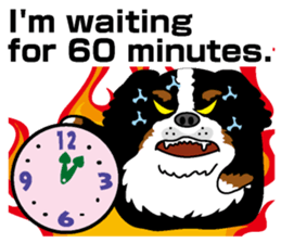 Bernese Mountain Dog molfy sticker #4734731