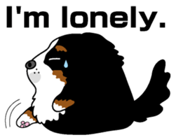 Bernese Mountain Dog molfy sticker #4734734