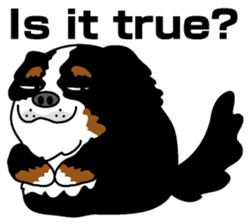 Bernese Mountain Dog molfy sticker #4734735