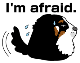 Bernese Mountain Dog molfy sticker #4734736