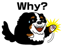 Bernese Mountain Dog molfy sticker #4734737