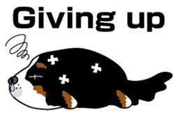 Bernese Mountain Dog molfy sticker #4734738