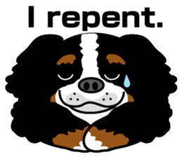 Bernese Mountain Dog molfy sticker #4734739