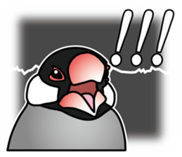 P. oryzivora sticker #4736146