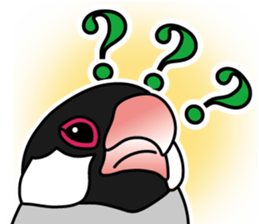 P. oryzivora sticker #4736147