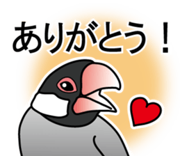 P. oryzivora sticker #4736150