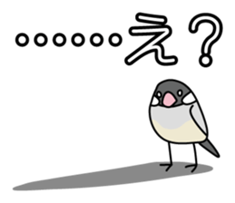 P. oryzivora sticker #4736152