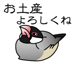 P. oryzivora sticker #4736154