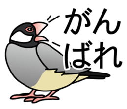 P. oryzivora sticker #4736155