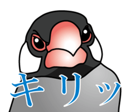 P. oryzivora sticker #4736156