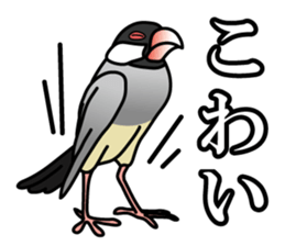 P. oryzivora sticker #4736157