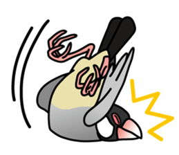 P. oryzivora sticker #4736159