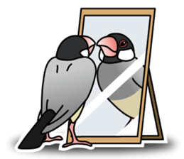 P. oryzivora sticker #4736160