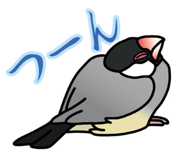 P. oryzivora sticker #4736161