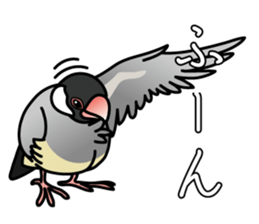 P. oryzivora sticker #4736166