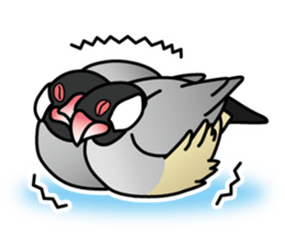 P. oryzivora sticker #4736167