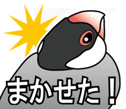 P. oryzivora sticker #4736168