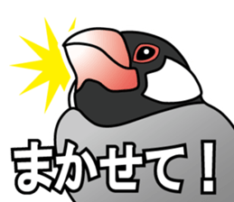 P. oryzivora sticker #4736169