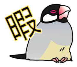 P. oryzivora sticker #4736172