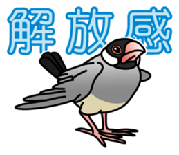 P. oryzivora sticker #4736173