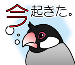 P. oryzivora sticker #4736176