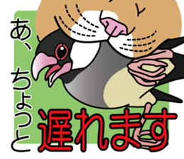 P. oryzivora sticker #4736181