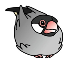 P. oryzivora sticker #4736183