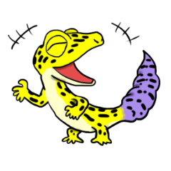 Leopard gecko!