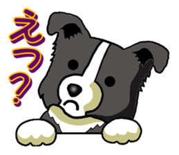 I Love Border Collie sticker #4737788