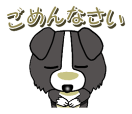 I Love Border Collie sticker #4737794