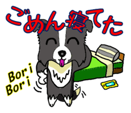 I Love Border Collie sticker #4737796