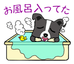 I Love Border Collie sticker #4737801