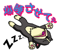 I Love Border Collie sticker #4737803