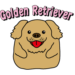 Golden Retriever Momo English version