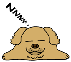 Golden Retriever Momo English version sticker #4738145