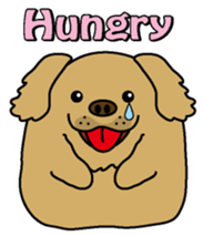 Golden Retriever Momo English version sticker #4738146