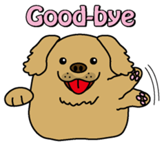 Golden Retriever Momo English version sticker #4738155