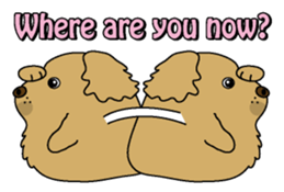 Golden Retriever Momo English version sticker #4738156