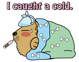 Golden Retriever Momo English version sticker #4738159