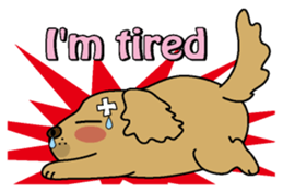 Golden Retriever Momo English version sticker #4738162