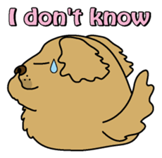 Golden Retriever Momo English version sticker #4738163