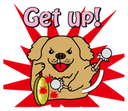 Golden Retriever Momo English version sticker #4738166