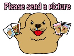 Golden Retriever Momo English version sticker #4738167