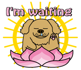 Golden Retriever Momo English version sticker #4738168