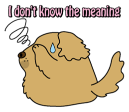 Golden Retriever Momo English version sticker #4738172