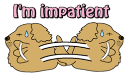 Golden Retriever Momo English version sticker #4738173