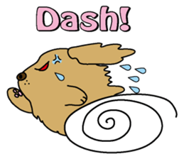 Golden Retriever Momo English version sticker #4738175