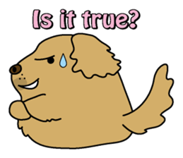 Golden Retriever Momo English version sticker #4738178