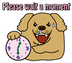 Golden Retriever Momo English version sticker #4738179